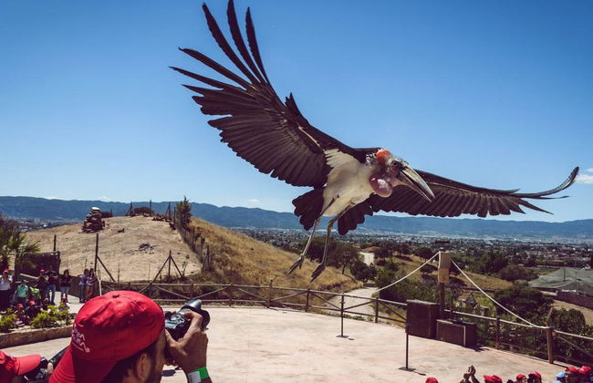 Eingangsboden Natura Murcia - Foto 4